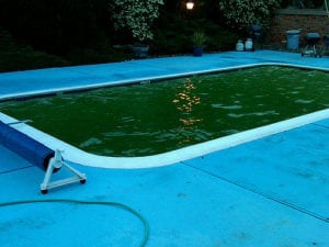 keeping algae out of pool