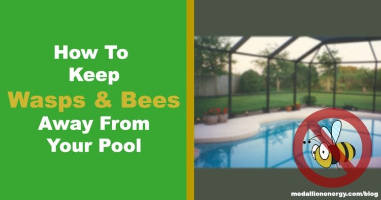 9 Ways To Keep Wasps and Bees Away From Your Swimming Pool