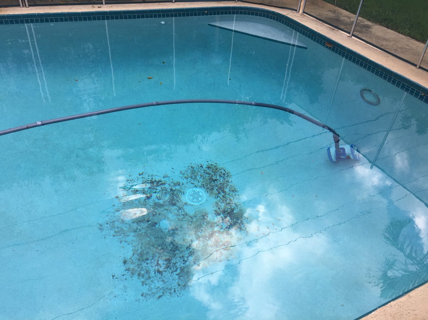 pool-stain-removal-101-a-quick-guide-to-removing-pool-stains