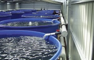 Aquaculture Heaters | Heaters for Aquaculture- Medallion Energy