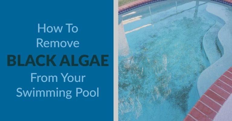 How To Remove Black Algae From Your Swimming Pool | Kill Black Algae